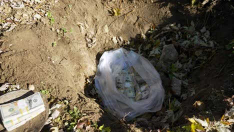 Hiding-pile-of-money-in-dirt-hole-with-fallen-leaves-around
