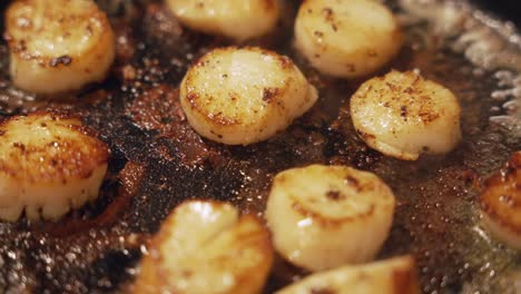 Extreme-Close-up-of-sautéed-Scallops-with-butter-on-frying-pan,-hot-steam