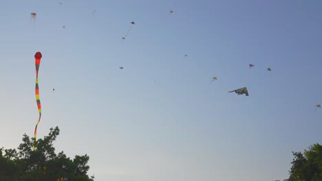 Shot-of-kites-flying-in-the-wind-during-a-very-beautiful-day-with-no-clouds-during-the-day-2