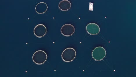 Fish-farm-nets-in-deep-blue-water,-aquaculture-industry,-aerial