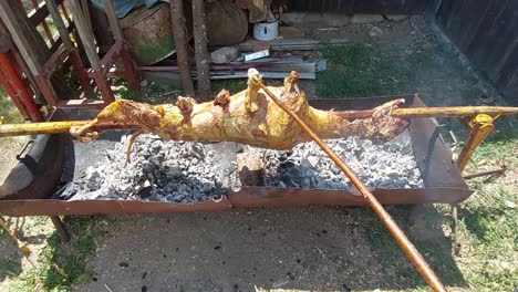 Lamb-on-pole,-turning-above-hot-charcoal-and-logs