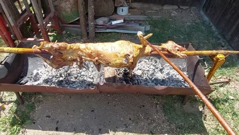 Oiling-lamb-grilling-above-hot-charcoal-with-stick-and-piece-of-lamb-fat