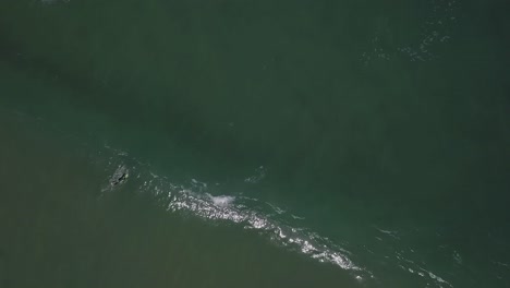 Portugal-Beach---Eine-Luftaufnahme-Des-Atlantiks