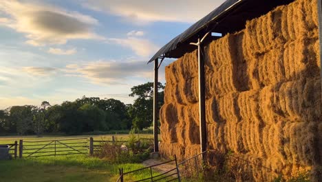Square-harvested-bales-of-hay-for-cattle-at-the-English-farm-in-the-Cotswolds