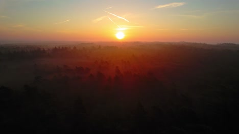 Aerial-view-of-amazing-scenery-with-foggy-dark-forest-pine-trees-at-summer-colorful-sunrise