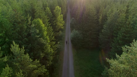 Aerial-drone-following-shot-of-a-guy-walking-through-hiking-path-in-wild-green-pine-forest-at-daytime