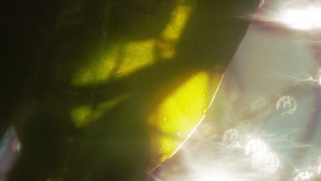 Bright-morning-sunlight-through-the-palm-leaf,-abstract-blur-background