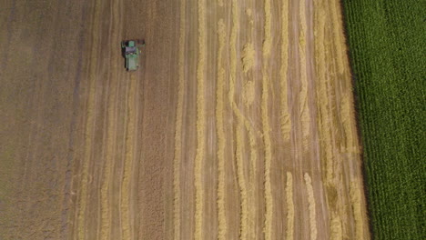 Aerial-view-of-a-combine-cutting-golden-wheat