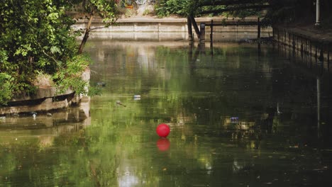 Statischer-Schuss-Eines-Verlorenen-Roten-Ballons,-Der-Auf-Einem-Schmutzigen-Grünen-Wasserteich-Schwimmt