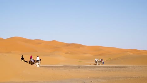 Kameltour-In-Der-Wüste-Sahara-Unter-Der-Leitung-Junger-Tuareg