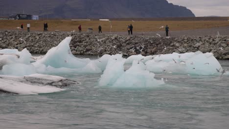 Laguna-Glaciar-En-Islandia-Con-Pájaros-Volando