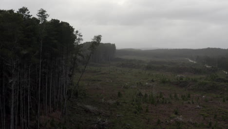 Aerial:-Drone-flying-past-a-forest-on-a-moody-winters-day-in-Tasmania,-Australia