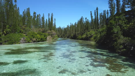The-laguna-and-its-crystal-clear-water-flows-towards-the-natural-pool-of-Oro,-Isle-of-Pines