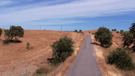 Aerial-Drone-View-Of-Empty-Asphalt-Road-With-Meadows-In-Alentejo,-Portugal