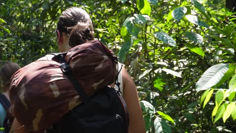 Raw-footage-of-a-group-of-people-walking-in-the-dense-jungle-on-a-sunny-day-in-the-area-of-Umphang-in-North-Thailand