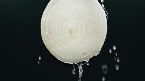 Water-Flowing-Down-Fresh-Onion-Slice-with-Liquid-Drip-in-Slow-Motion-Backlit-Black-Background