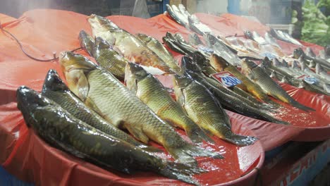 Frischer-Fisch-Zum-Verkauf-Auf-Dem-Türkischen-Markt