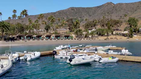 Zwei-Häfen-Marina-Catalina-Island-Kalifornien-Mit-Booten,-Die-Auf-Hafen-Und-Strand-Mit-Palmen-Schwimmen