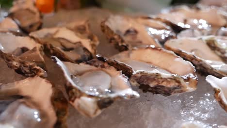 Fresh-Raw-Oyster-in-Half-Shell-Display-on-Ice,-Close-Up-1