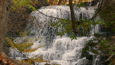 Wasserfall-Inmitten-Eines-Waldes,-Umgeben-Von-Herbstlaub