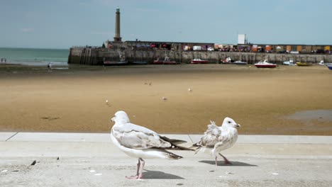 Empty-Margate-Beach-with-seagulls-in-close-up