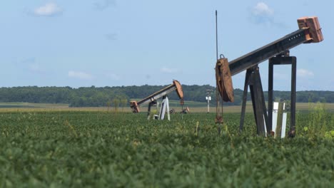 Oil-jacks-both-stationary-and-and-working-help-Midwest-farmers-beat-the-current-fuel-crisis-in-America
