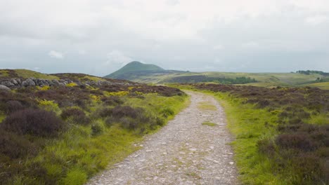 Gravel-path-winding-through-Lomond-Hills-heather-highland,-Scotland