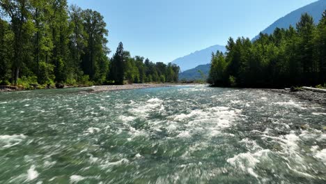 Ausströmender-Natürlicher-Wasserstrom-Des-Chilliwack-River-Valley-Mit-üppiger-Vegetation-In-BC,-Kanada