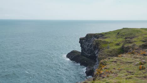 Seabird-colonies-flying-above-Fowlsheugh-coast-cliffs-in-Scotland