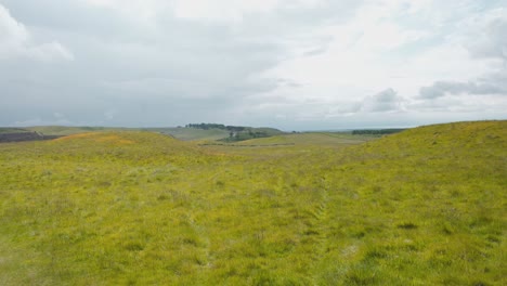 Bright-green-meadows-in-Lomond-Hills-regional-park-in-Scotland