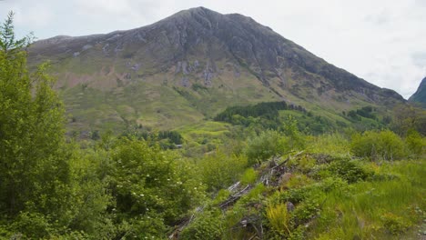 Lush-vegetation-and-mountain-in-Glencoe-valley-in-Scotland