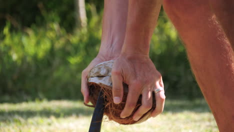 Removing-the-coconut-husk-by-hand-using-a-spike-in-the-ground