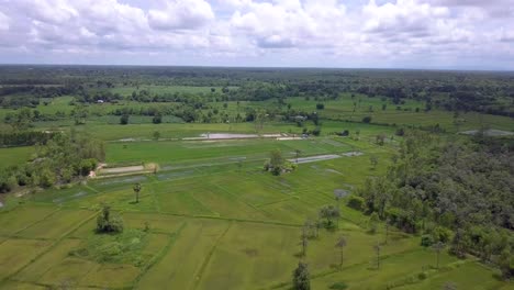 Drone-shots-of-a-cannabis-plantation-under-construction-in-Northern-Thailand,-Udon-Thani-2