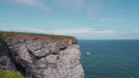 Countless-seabirds-flying-above-Fowlsheugh-coast-cliffs-in-Scotland