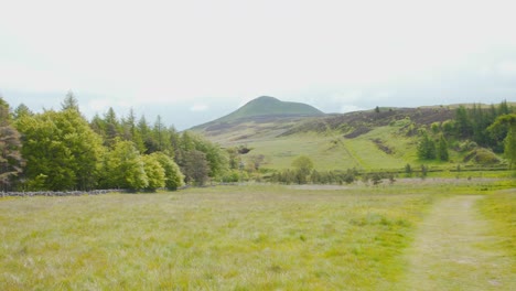 Field-plot-with-path-bounded-by-rock-wall-in-Lomond-hills,-Scotland