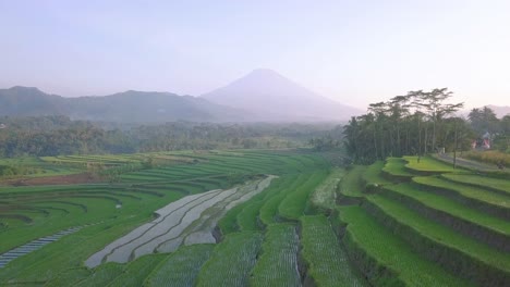 Flooded-terraced-rice-fields-with-gigantic-mountains-in-background-during-sun-rays-in-the-morning---Aerial-forward-flight