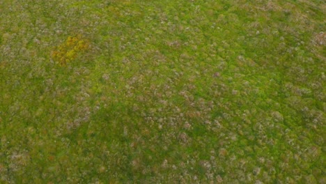 Dynamic-aerial-tilt-shot-of-Lomond-Hills-highlands-landscape,-Scotland