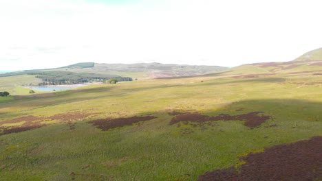Scottish-highland-landscape-in-Lomond-hills-moorland,-drone-shot