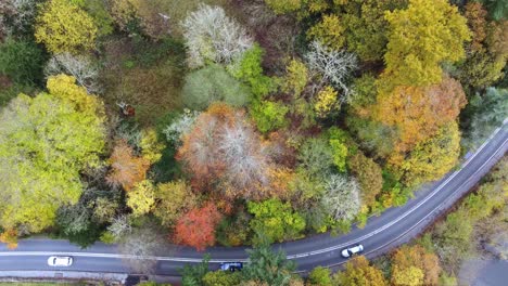 Drohnenansicht-Von-Oben-Nach-Unten-Auf-Die-Farbenfrohe-Herbstbaumszene-Mit-Vorbeifahrenden-Autos-Im-Lake-District-National-Park