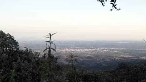 Prado-Verde-Rodeado-De-árboles-Con-Muchas-Colinas-Cerca,-Con-Vistas-A-La-Ciudad-En-La-Distancia