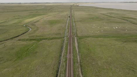Straight,-Railway-Track,-Norfolk-Broads,-River-Yare,-Aerial-View,-Flat-Landscape