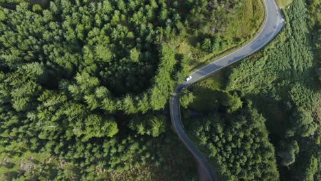 Top-view-of-a-white-car-riding-along-a-curvy-road-in-a-green-forest-along-the-Wicklow-mountains-2