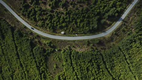 Top-view-of-a-black-car-riding-along-a-curvy-road-in-a-green-forest