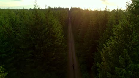 Aerial-drone-view-of-a-man-walking-into-a-path-in-the-middle-of-a-forest