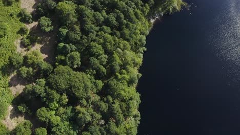 Aerial-top-down-view-of-the-beautiful-serene-landscape-of-Lough-Tay-Lake,-Guinness-Lake-in-the-Wicklow-Mountains,-with-the-green-forest-1