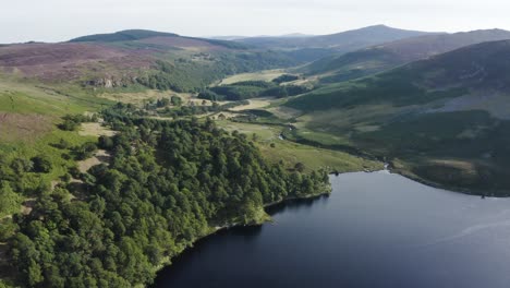 Beautiful-serene-landscape-of-Lough-Tay-Lake,-Guinness-Lake-in-the-Wicklow-Mountains,-with-the-green-forest-on-a-sunny-day-5