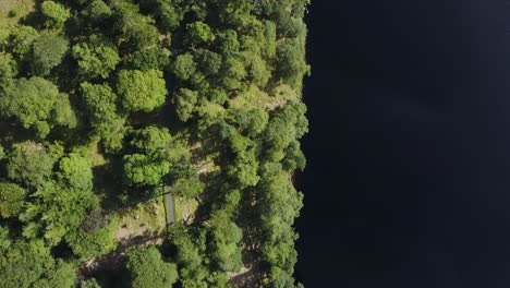 Aerial-top-down-view-of-the-beautiful-serene-landscape-of-Lough-Tay-Lake,-Guinness-Lake-in-the-Wicklow-Mountains,-with-the-green-forest