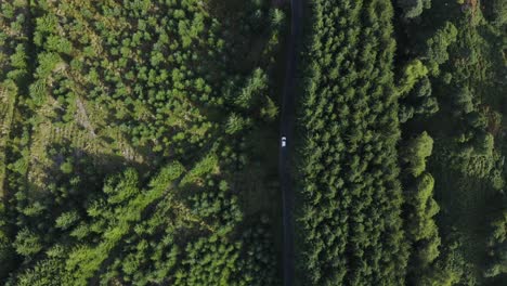 Top-view-of-a-white-car-riding-along-a-curvy-road-in-a-green-forest-along-the-Wicklow-mountains