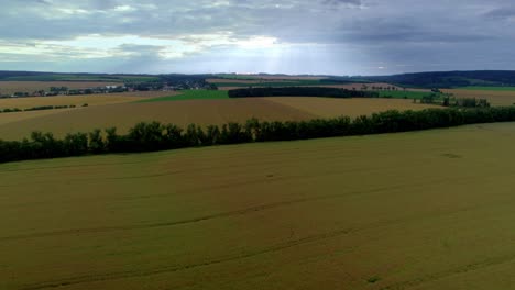 Aerial-drone-view-of-cornfield-maze