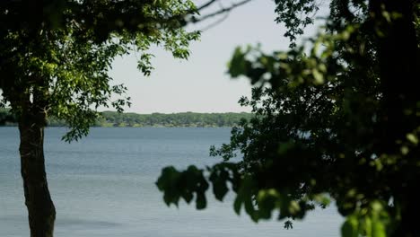 Looking-through-the-trees-to-a-shoreline-on-the-opposite-side-of-a-lake